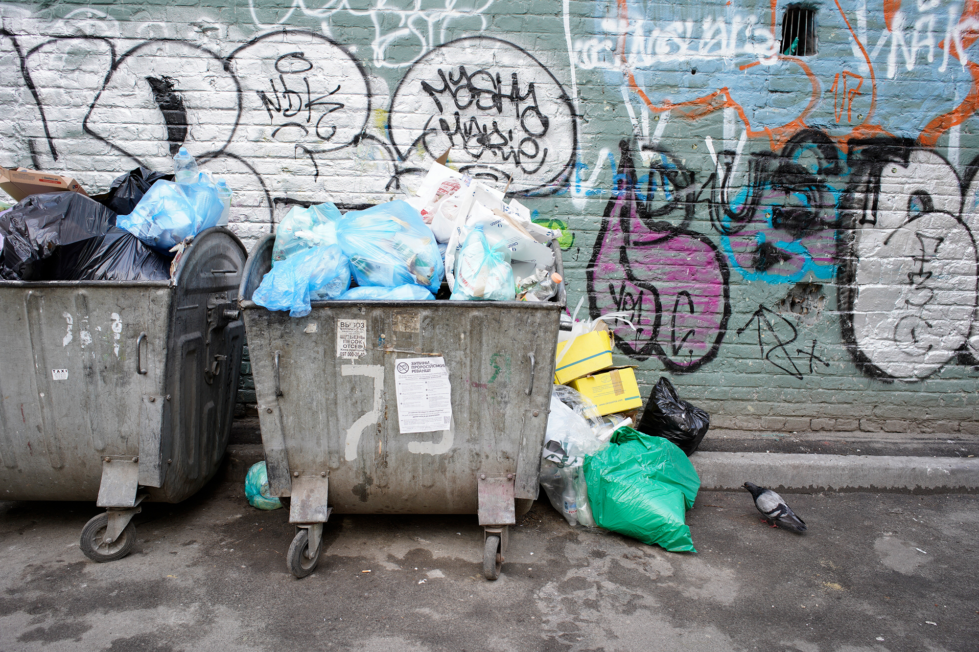 Врожай за будь-яку ціну. Як в Україні знищують ґрунти і довкілля – інтерв'ю з екологом